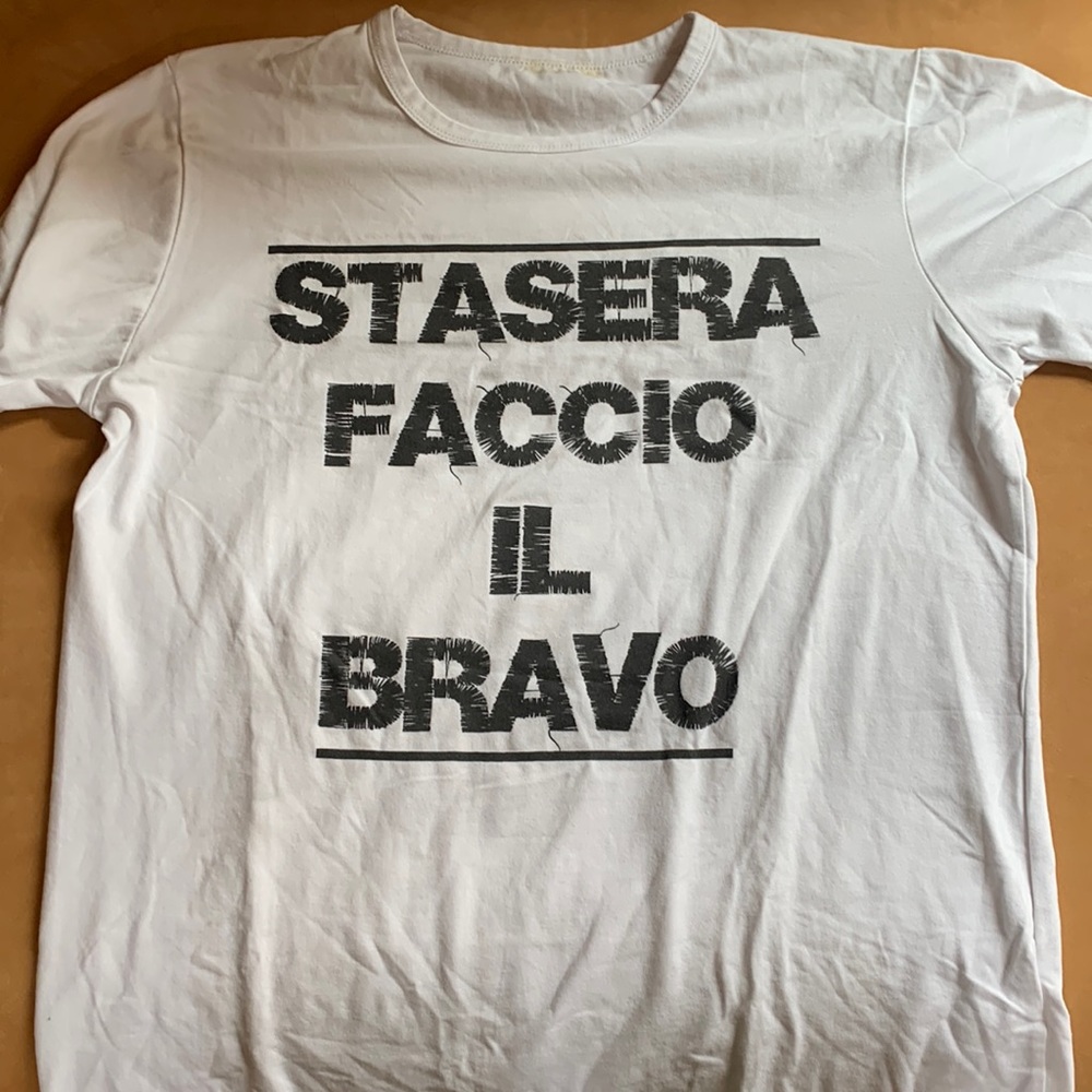Roman Stag T